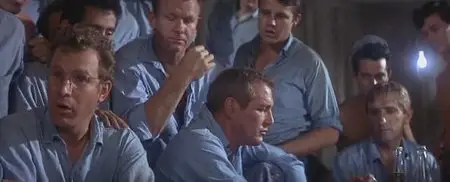 Cool Hand Luke (1967)