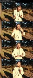 Extensive QiGong movement, breathing and meditation course