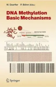 DNA Methylation [Repost]