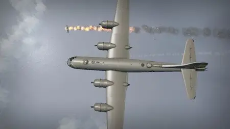 WarBirds - World War II Combat Aviation (2015)
