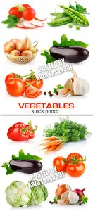 Vegetables 5