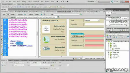 Dreamweaver CS5 Essential Training