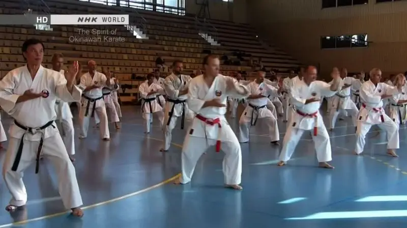 NHK - Tee: The Spirit of Okinawan Karate (2014)