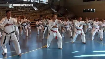 NHK - Tee: The Spirit of Okinawan Karate (2014)