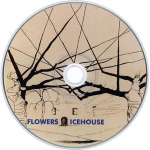 Icehouse - Albums Collection 1980-1995 (8CD)