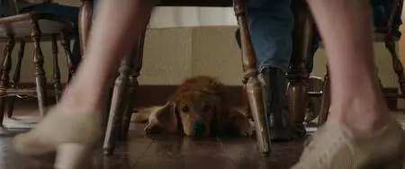 A Dog's Purpose (2017)