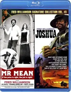 Mr. Mean (1977)