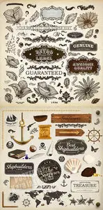 Sea & floral design elements