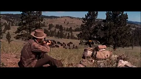 The Last Hunt (1956)
