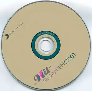VA - Die Hit-Giganten - Instrumental Hits (2009)