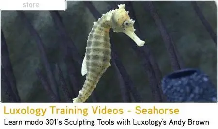 Luxology Training Video Series - Seahorse