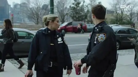 Blue Bloods S08E19