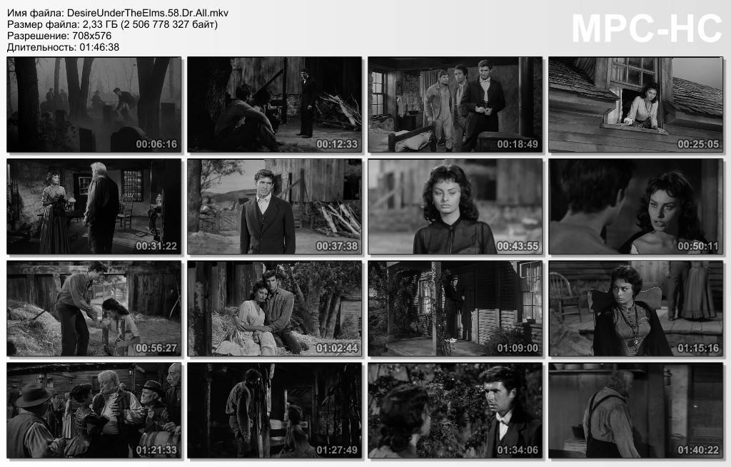 Desire Under the Elms / Любовь под вязами (1958)