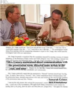 Atticus v. The Architect: The Political Assassination of Don Siegelman (2017)
