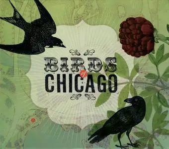 Birds Of Chicago - Birds Of Chicago (2012)