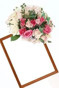 Beauty Roses Frame for Photoshop