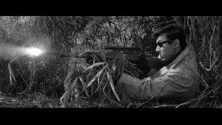 Eclipse Series 17: Nikkatsu Noir (1957-1967)