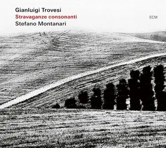 Gianluigi Trovesi, Stefano Montanari - Stravaganze consonanti (2023) [Official Digital Download 24/96]