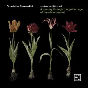 Quartetto Bernardini - Around Mozart. A Journey Through the Golden Age of the Oboe Quartet (2021)