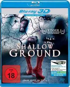 Shallow Ground (2004)