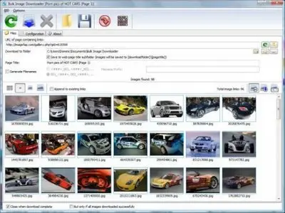 Bulk Image Downloader 4.9.0.1 Portable