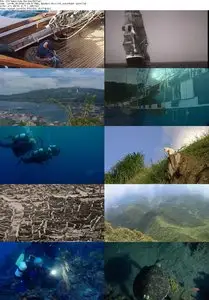 100 Years Under the Sea: Shipwrecks of the Caribbean (2007)