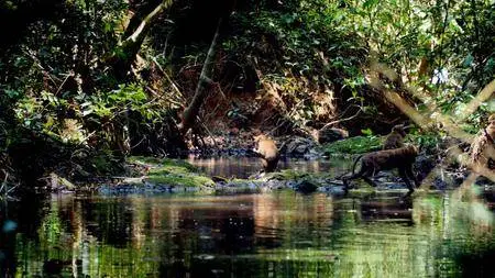 Mysteries Of The Mekong - Thailand: Nature's Crossroads (2017)