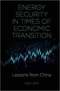 Energy Security in Times of Economic Transition: Lessons from China