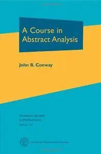 A Course in Abstract Analysis