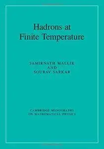 Hadrons at Finite Temperature (repost)