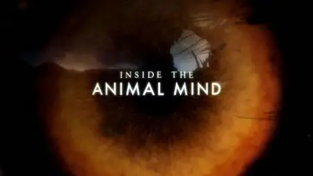 BBC - Inside the Animal Mind (2014)