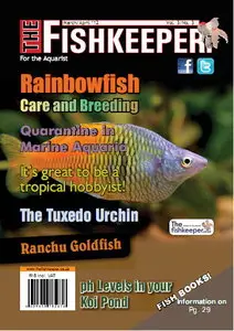 The Fishkeeper Magazine Vol.3 No.3