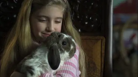 The Christmas Bunny (2010)