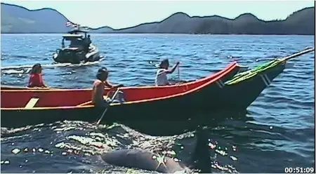 The Whale (2011)