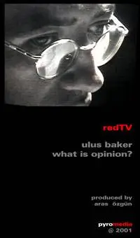 ulus baker | what is opinion?