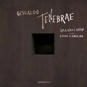 Graindelavoix & Björn Schmelzer - Tenebrae (2020) [Official Digital Download 24/96]