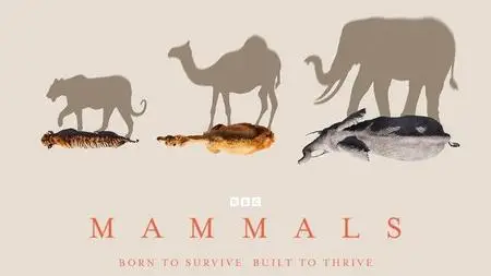 BBC - Mammals (2024)