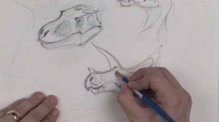 Dinosaur Drawing: Anatomy and Sketching with David Krentz [repost]