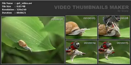 SUU Design Video Thumbnails Maker 6.0.0.0 Platinum