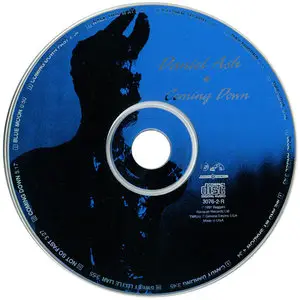 Daniel Ash - Coming Down (1991) US Limited Edition