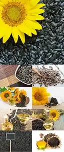 Stock Photo: Sunflower seeds and vegetable oil