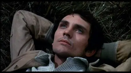Teorema (1968) [Repost]
