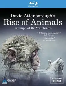 BBC - Rise of Animals: Triumph of the Vertebrates (2013)