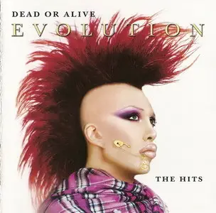 Dead Or Alive - Evolution: The Hits (2003)