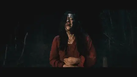 Evil Dead / Зловещие мертвецы: Черная книга (2013)