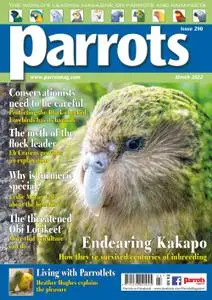Parrots – March 2022