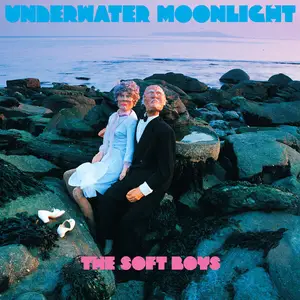 The Soft Boys - Underwater Moonlight (45th Anniversary Remaster) (1980/2025)
