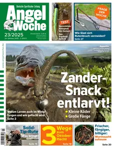 Angel Woche - 24. Oktober 2025