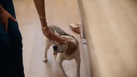 With Love, Meghan S02E04