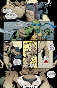 Teenage Mutant Ninja Turtles Annual 2025 001
